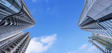 맞춤형 연구 보고서